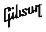 Лого гитар gibson