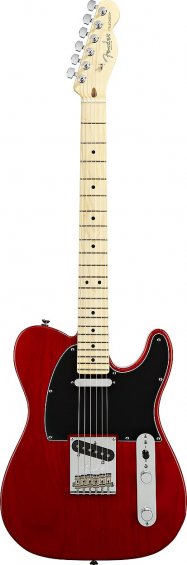 Fender American Standard Telecaster-13