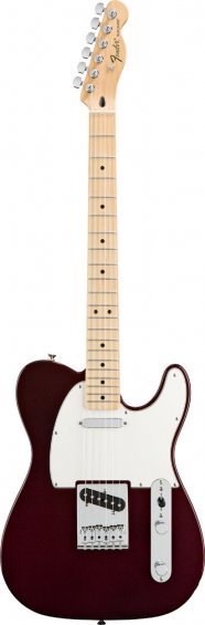 Fender Standard Telecaster-4