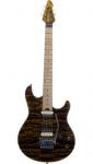 Peavey HP Special CT USA (4)