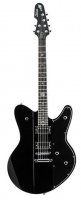 Schecter Robert Smith Ultracure