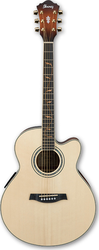 Акустическая гитара Ibanez  AEL40SE RLV