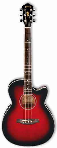 Акустическая гитара Ibanez AEG8E TRS