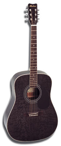 Акустическая гитара Hohner HW300 TBK