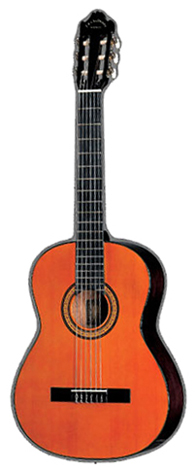 Акустическая гитара J&D C-8