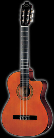 Акустическая гитара J&D CC-6E