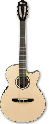 Акустическая гитара Ibanez AEG10NE NT