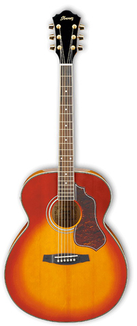 Акустическая гитара Ibanez SGT120E HS